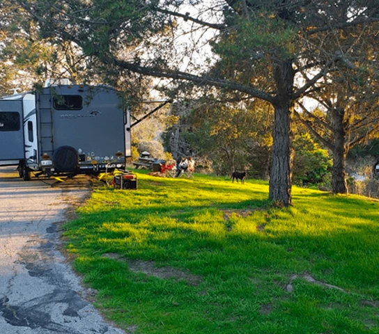 SAN SIMEON CREEK CAMPGROUND