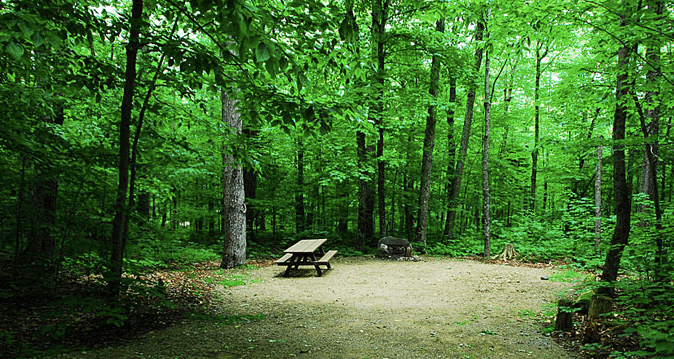 Mount Blue State Park