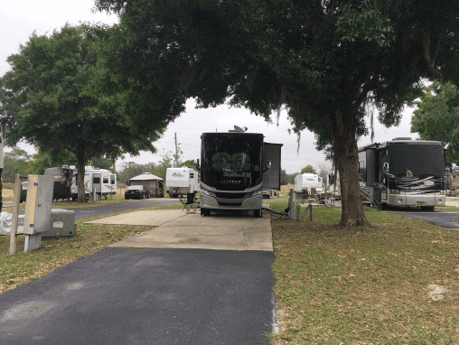 Paynes Prairie Preserve State Park