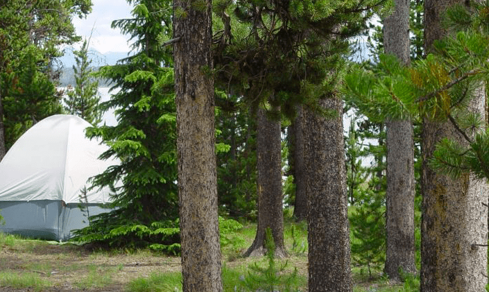 Grant Village Campground