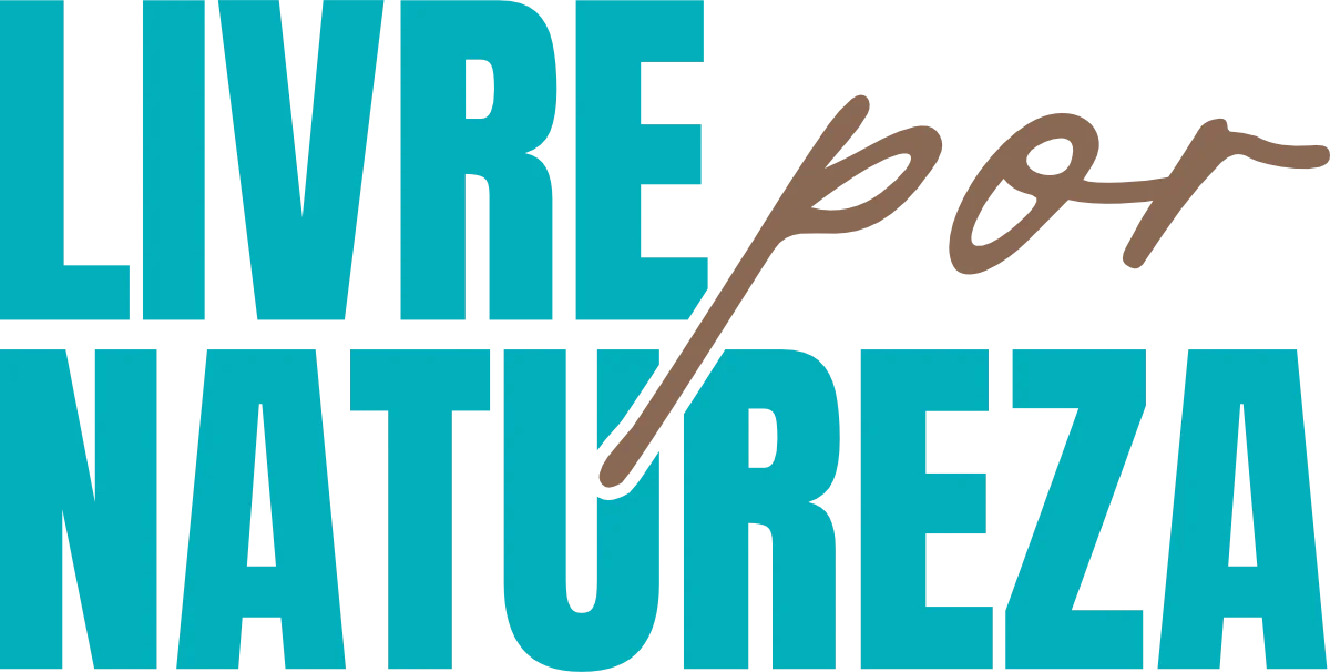 aluguel motorhome internacional