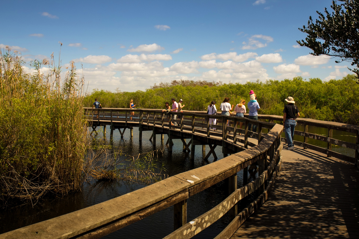 Camping: Everglades
