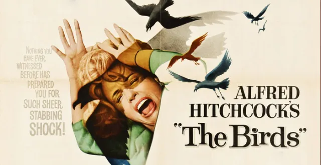 thebirds