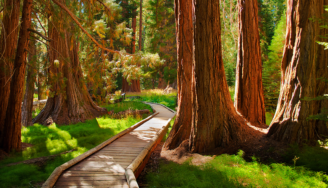 Sequoia National Park, CA