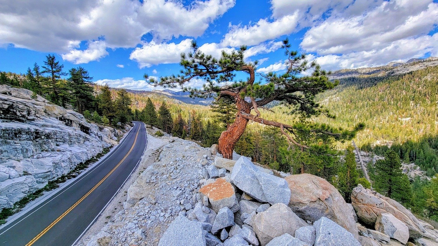 Yosemite National Park, CA