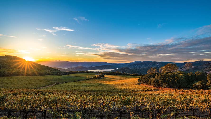 Wine Country Napa Valley e Sonoma de motorhome