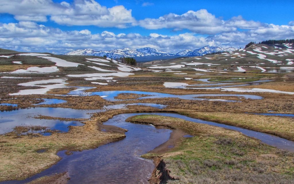 Hayden Valley