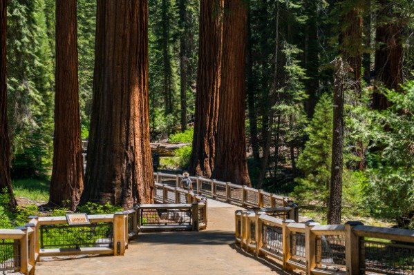 Yosemite National Park, CA