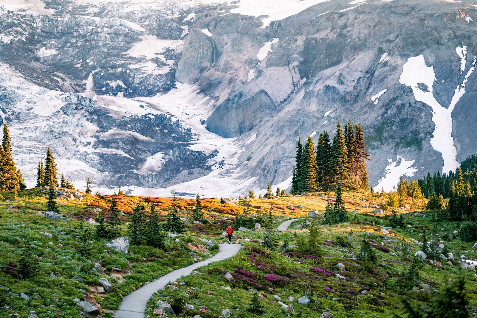 Mount Rainier National Park, WA