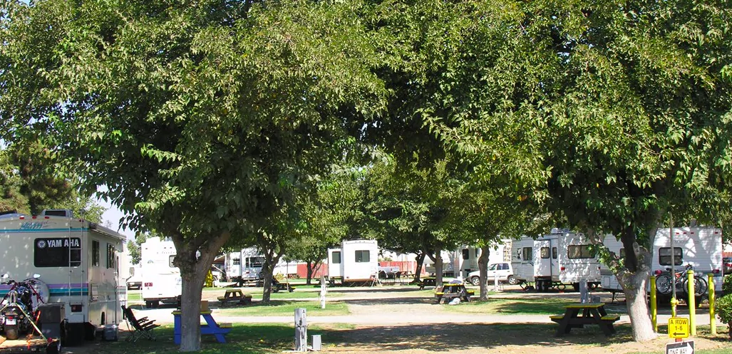 Visalia & Sequoia National Park KOA