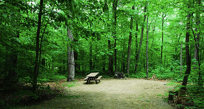 Mount Blue State Park