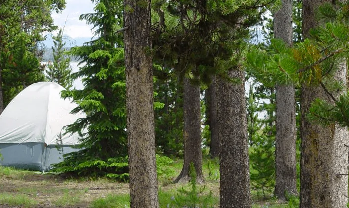 Grant Village Campground