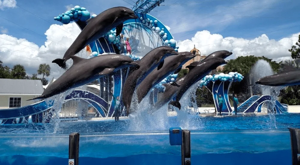 SeaWorld
