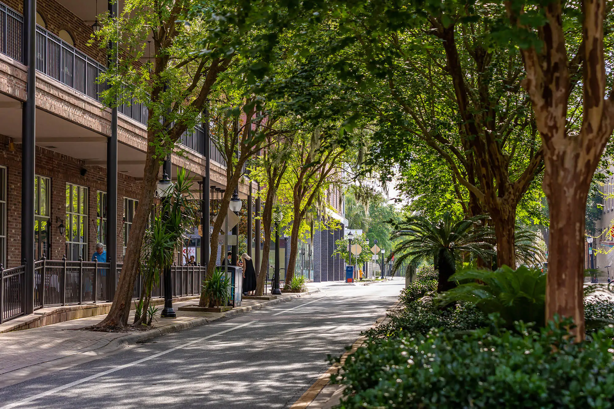 Camping: Gainesville