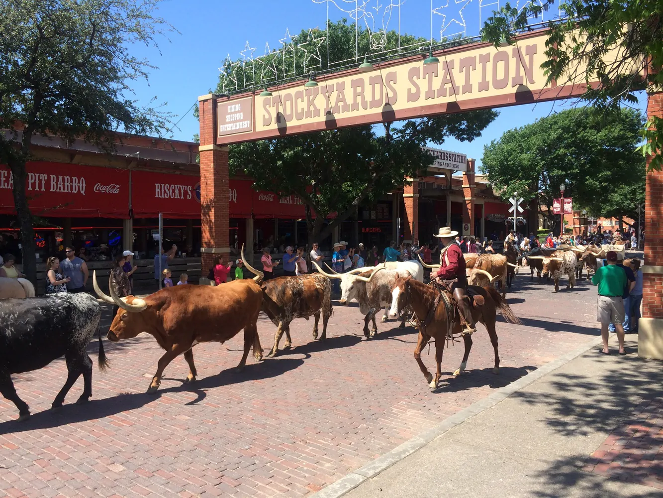 Wichita Falls, TX