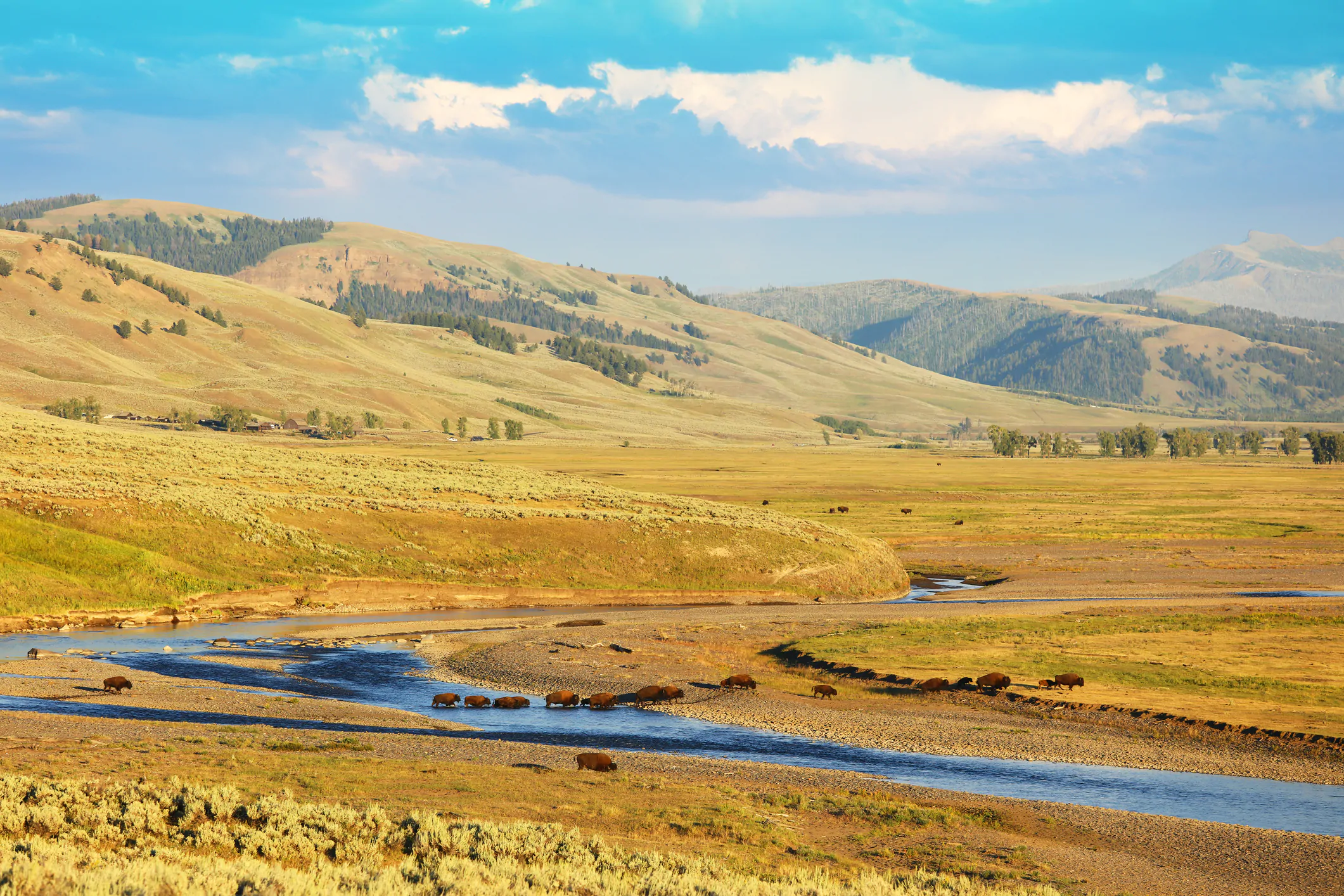 Yellowstone National Park, WY