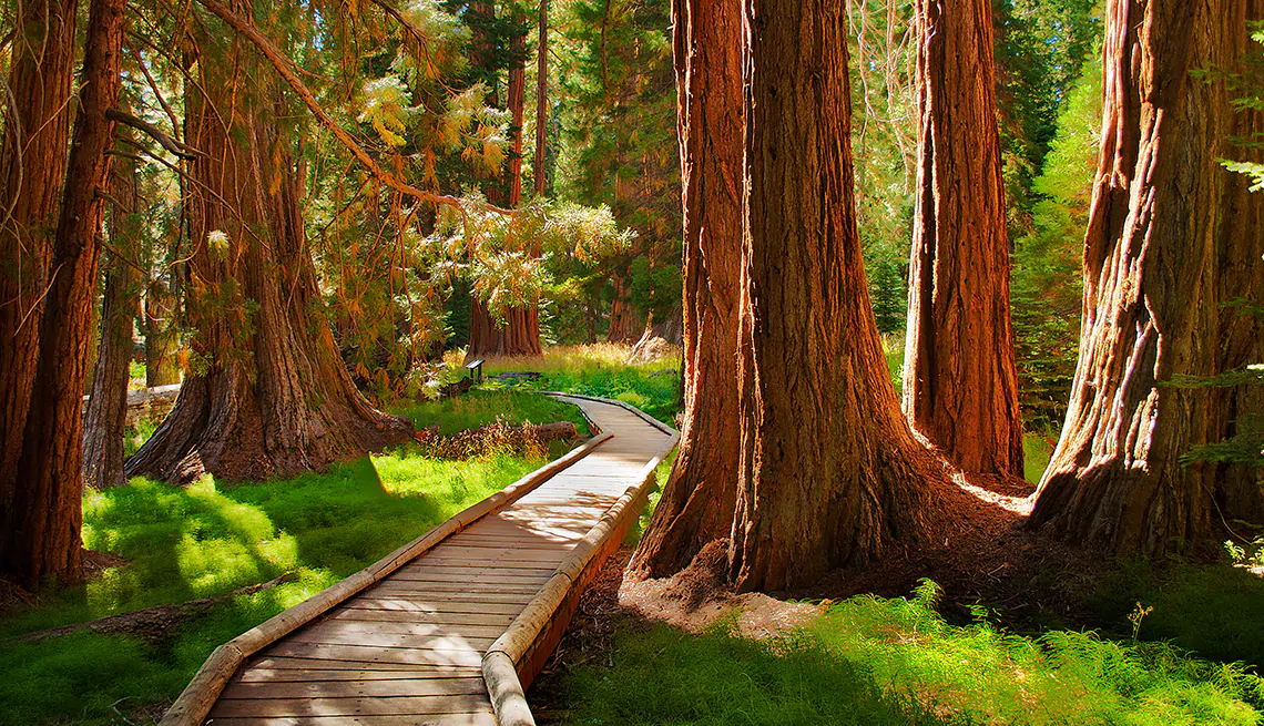 Sequoia National Park, CA