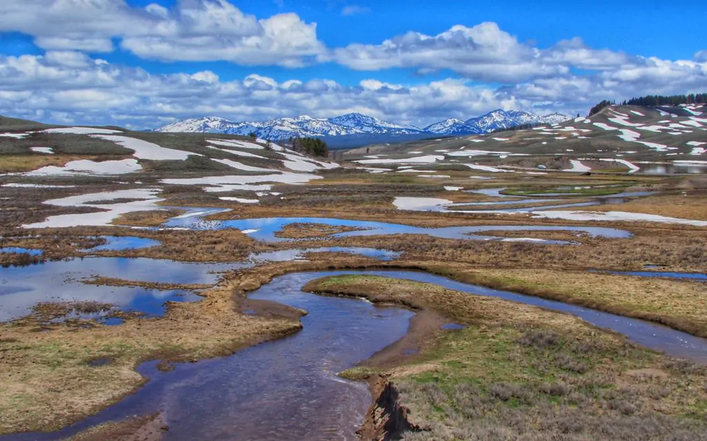 Hayden Valley